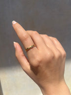 Anello Pesciolini